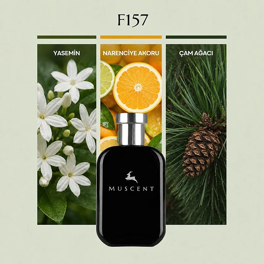 Muscent F157 Paradis