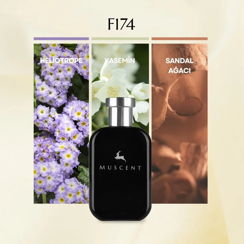 Muscent F174 Wondrlust