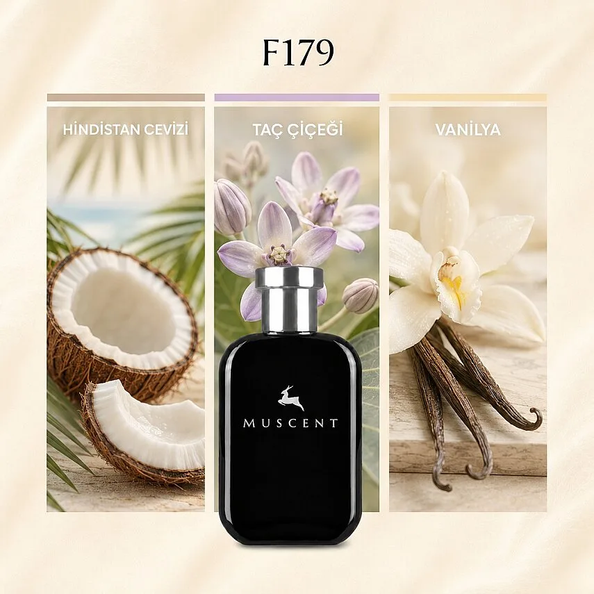 Muscent F179 Bronz Godd