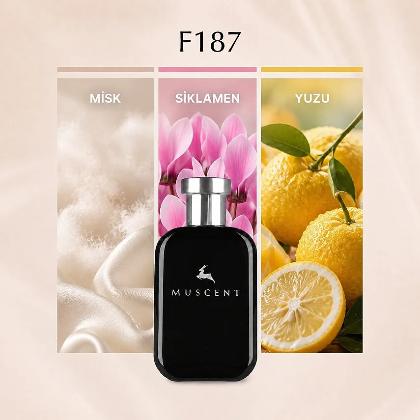 Muscent F187 Cheapy Chic