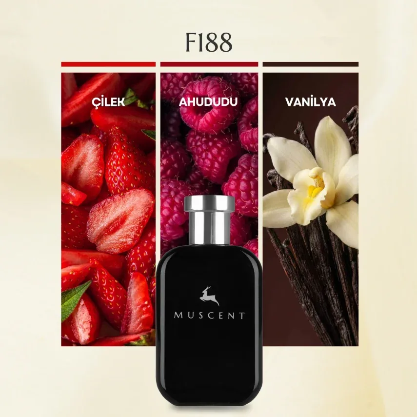 Muscent F188 BHer