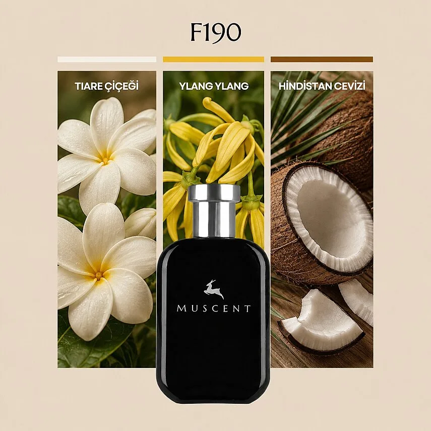 Muscent F190 Tcotta