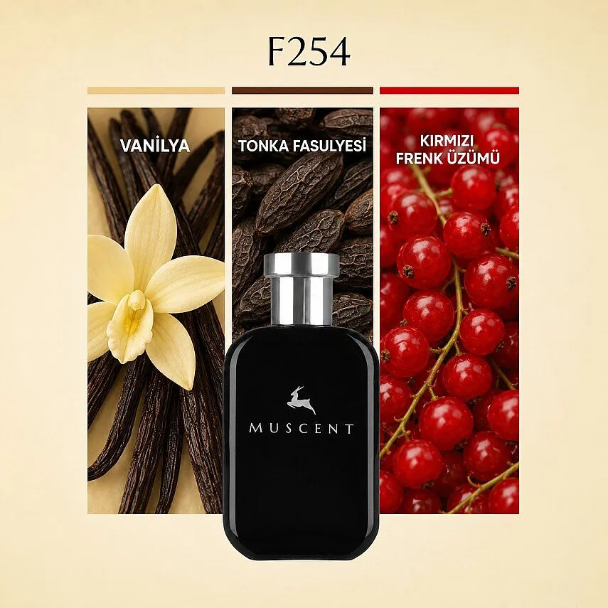 Muscent F254 Nuit Ala Folie