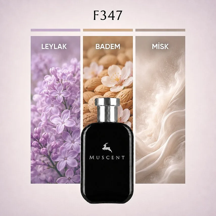 Muscent F347 A Drop
