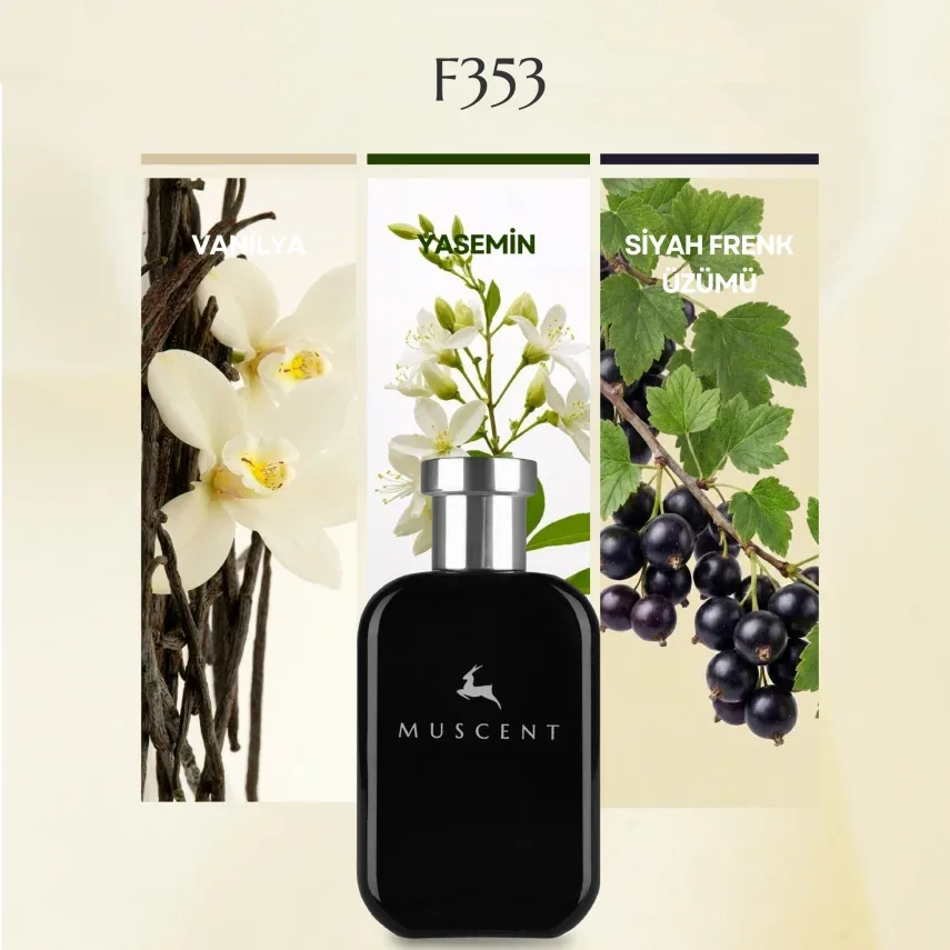 Muscent F353 DnnaBrnRma