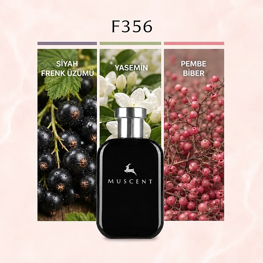 Muscent F356 MKGorgeus