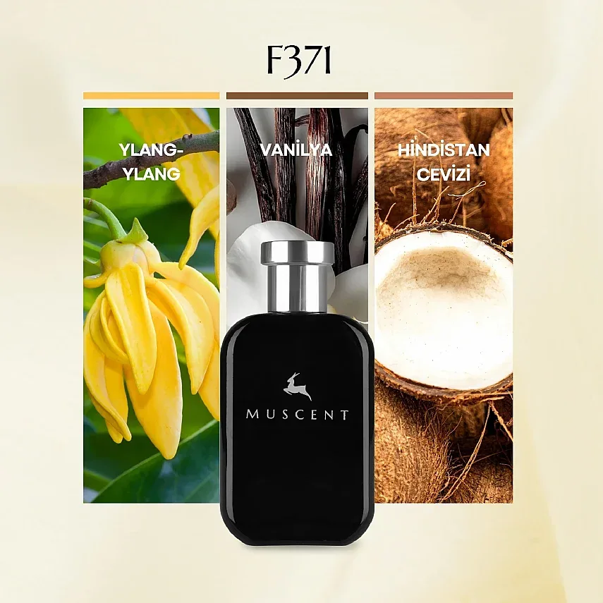 Muscent F371 Soleil Cristal