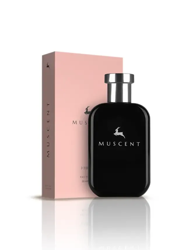 Muscent F374 PParadoks