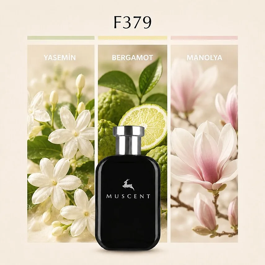 Muscent F379 FGJasmine