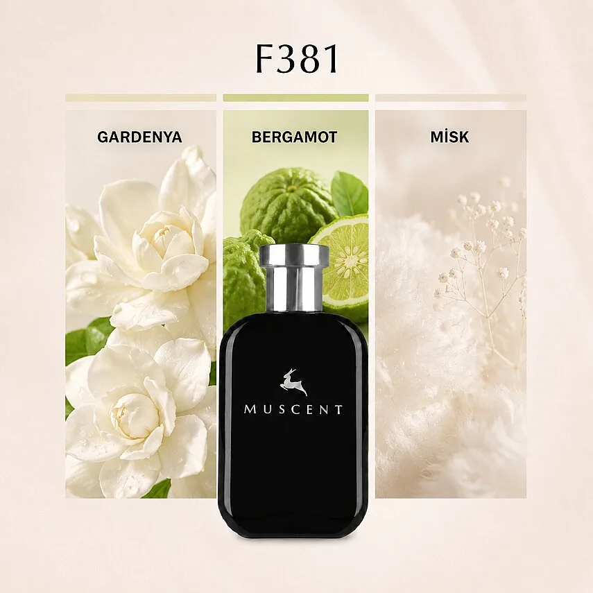 Muscent F381 Angl Gold
