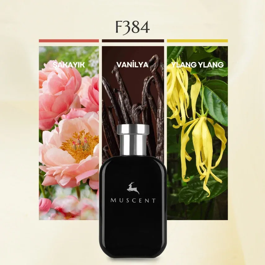 Muscent F384 G Girl Blush