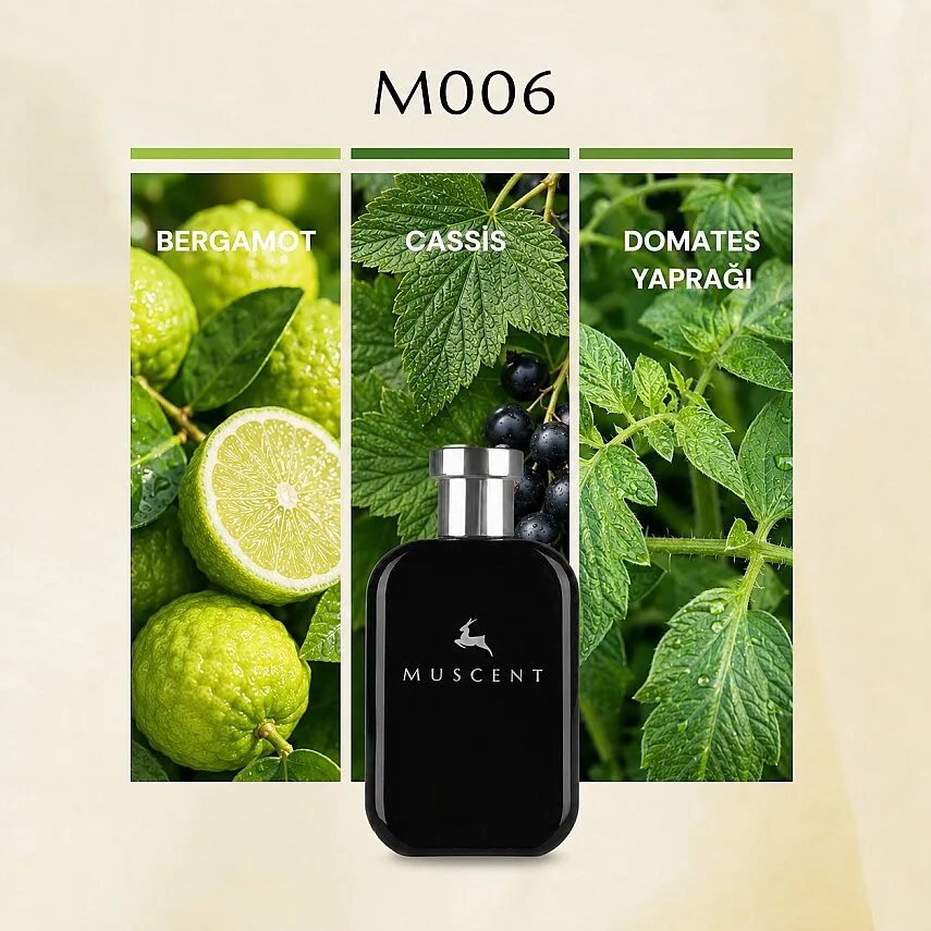 Muscent M006 LEsential