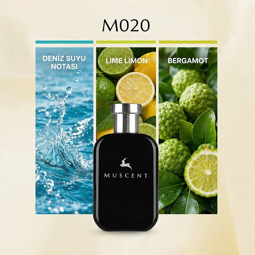 Muscent M020 Gio