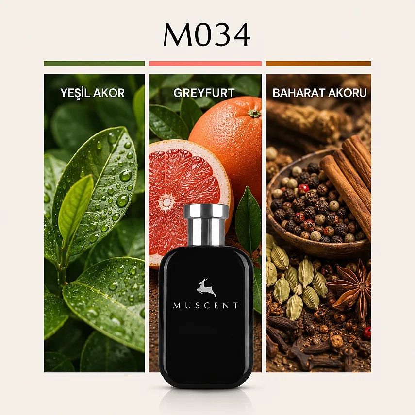 Muscent M034 112 Men