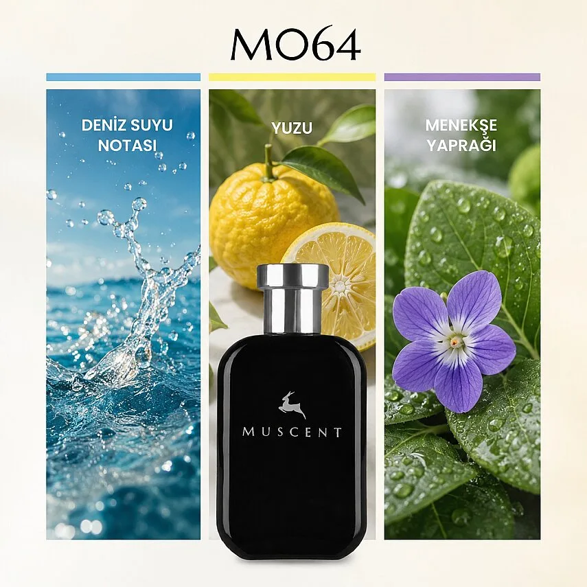 Muscent M064 Inv Aqua