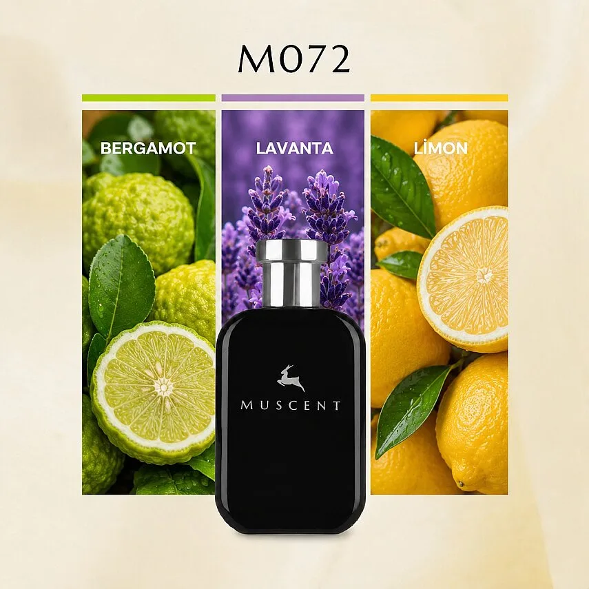Muscent M072 V For Men