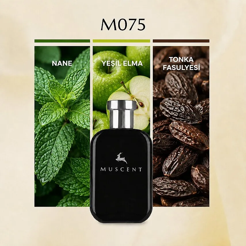Muscent M075 Eross Men