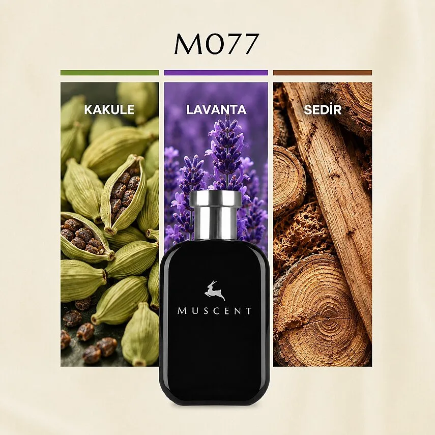 Muscent M077 NuitDelHome