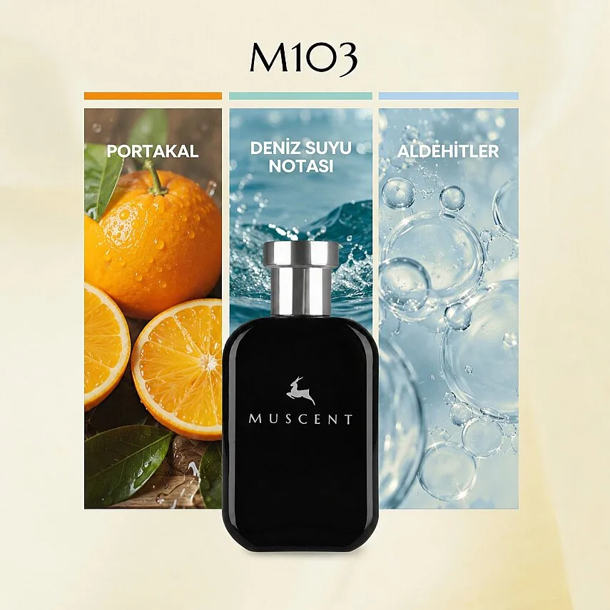 Muscent M103 Alur Sport