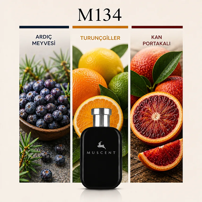 Muscent M134 K