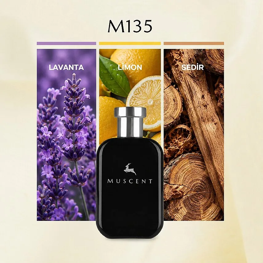 Muscent M135 Gouilty PH