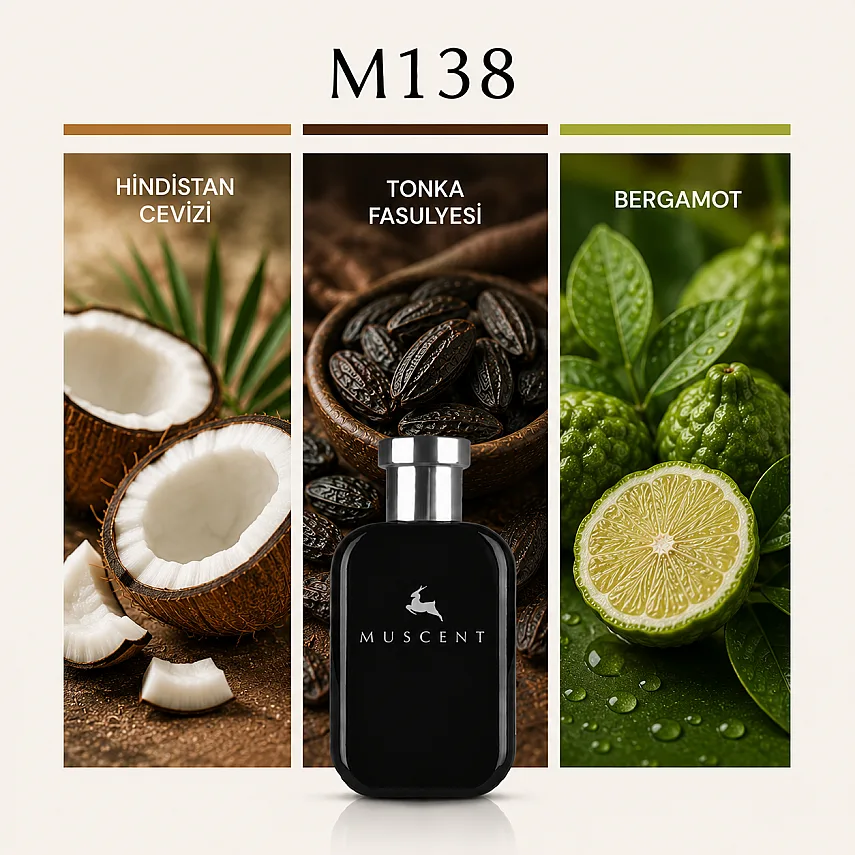 Muscent M138 L Beau