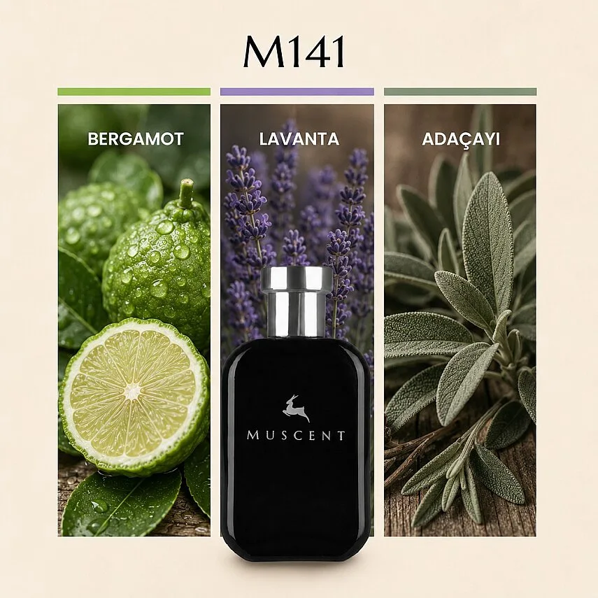 Muscent M141 Y EDT