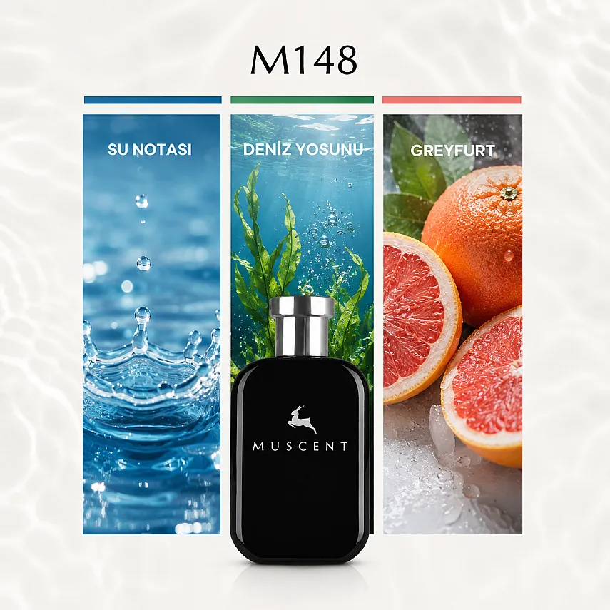 Muscent M148 Aqva Marine