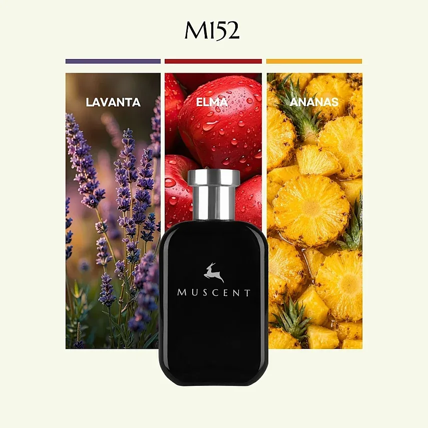 Muscent M152 M BLegend