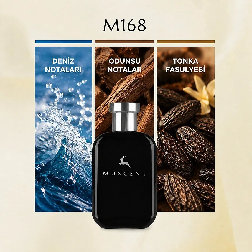Muscent M168 Gio Absolu