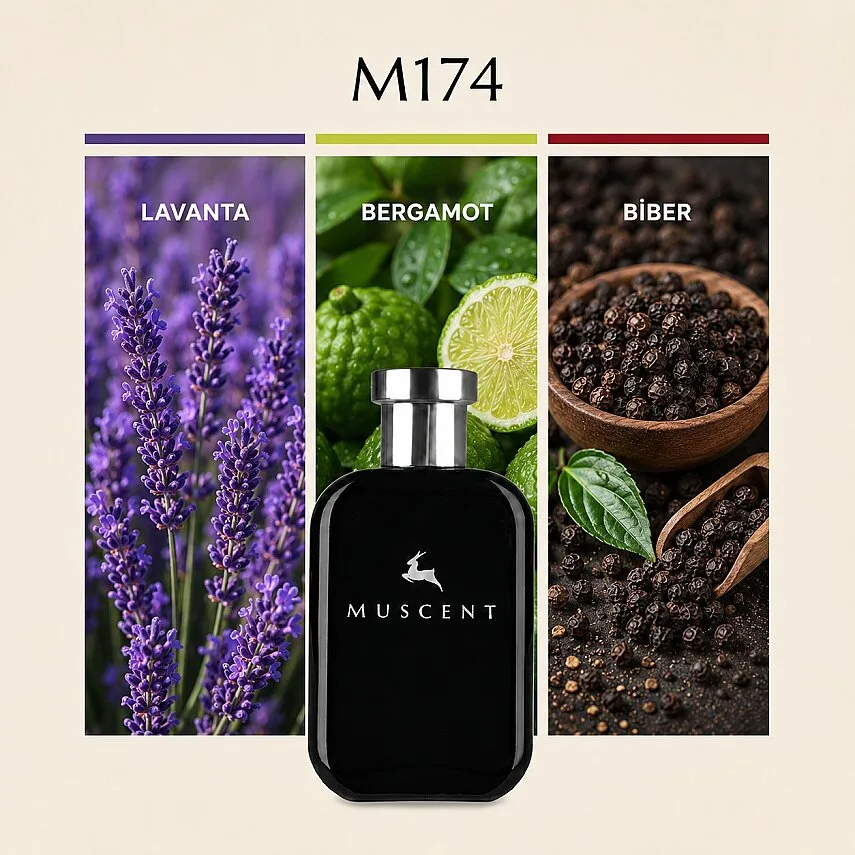 Muscent M174 LRCarbon