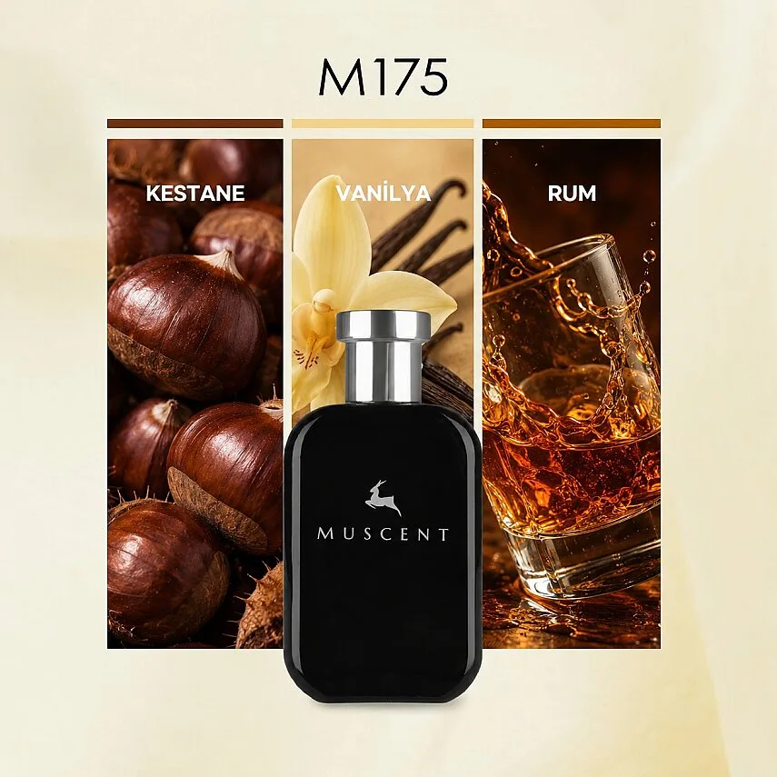 Muscent M175 Stronger Abs