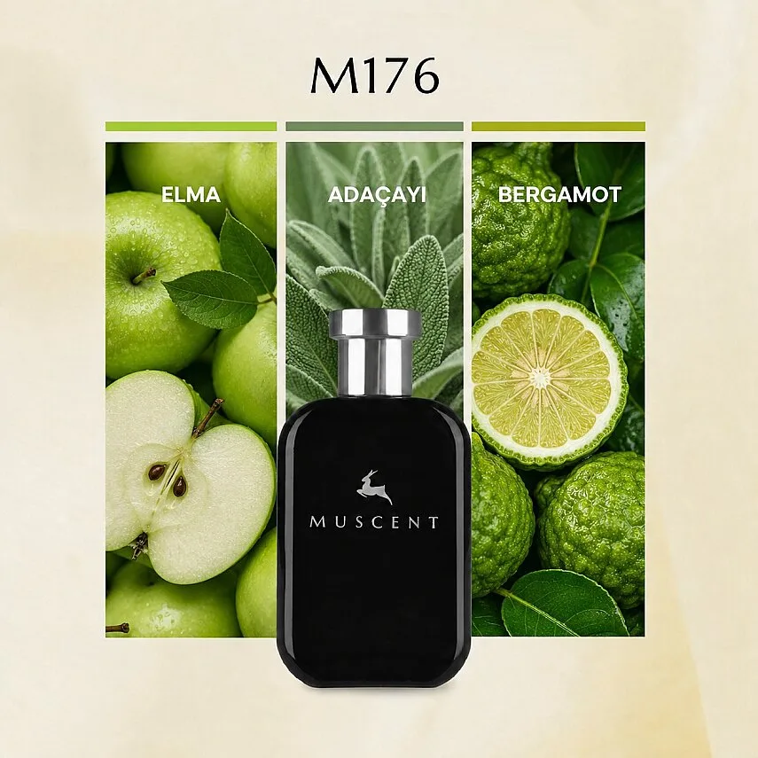 Muscent M176 Y EDP