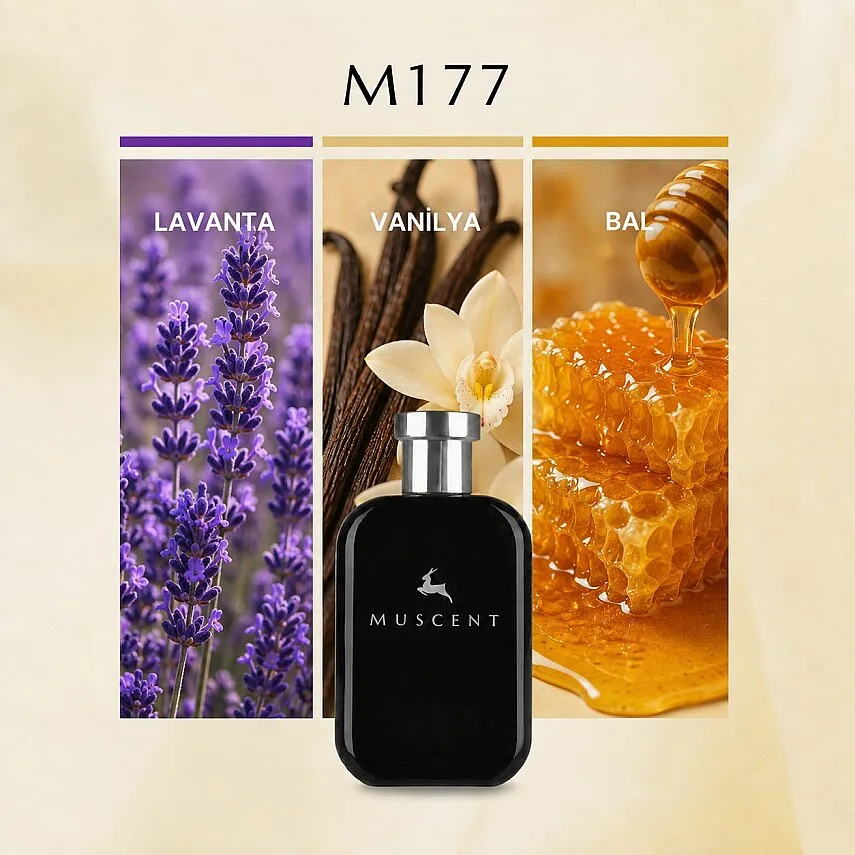 Muscent M177 LMale Elixir