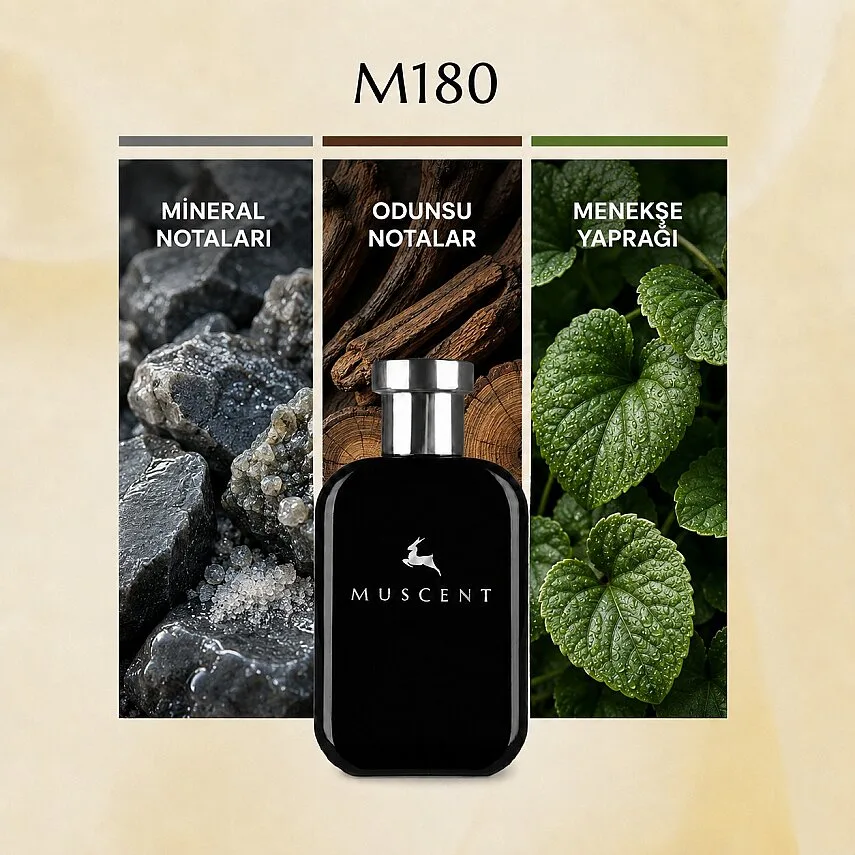 Muscent M180 Born Rome Men