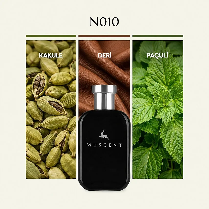 Muscent N010 Afro Leather