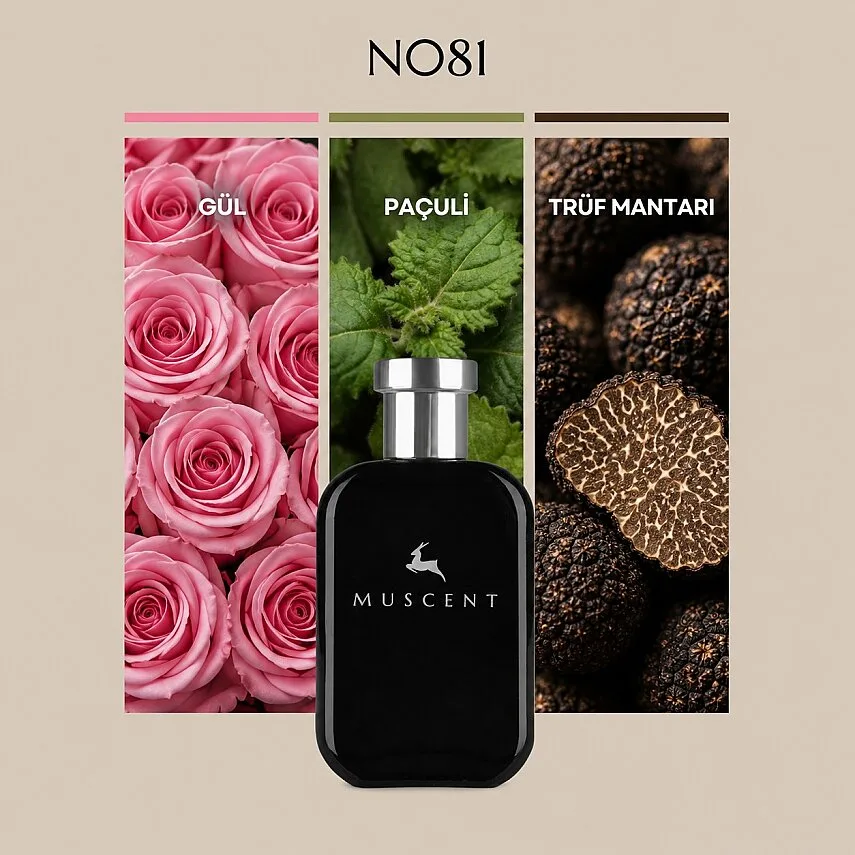 Muscent N081 N De Noir
