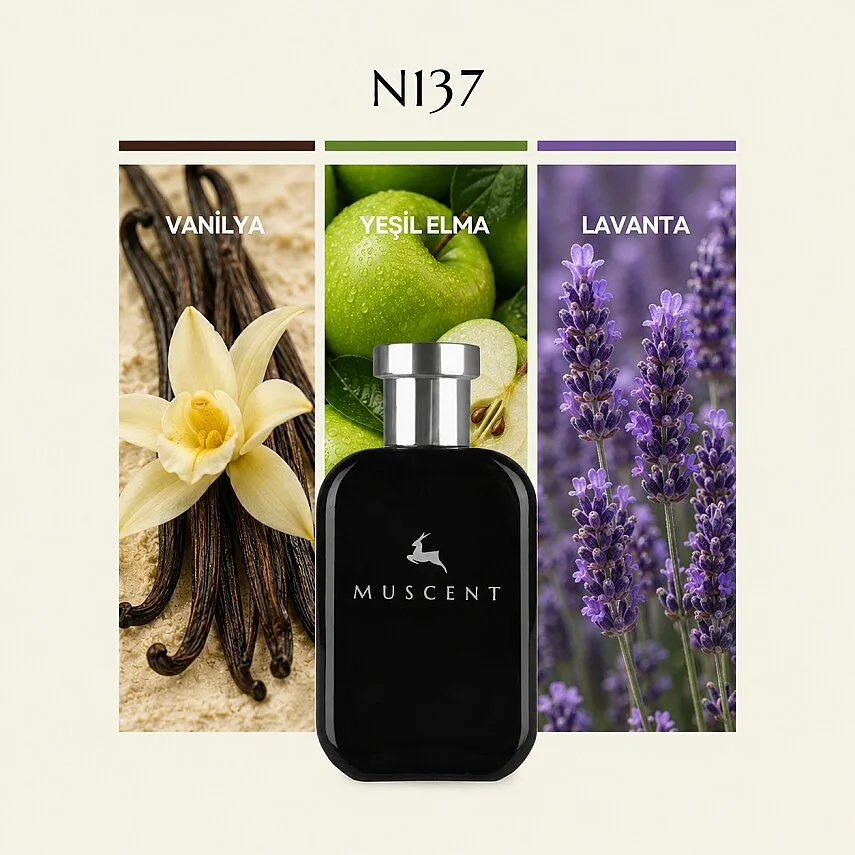 Muscent N137 Lyton