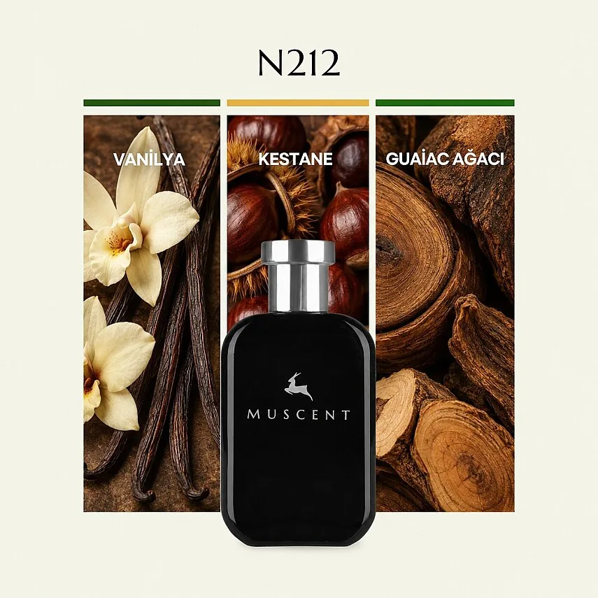 Muscent N212 Fireplace