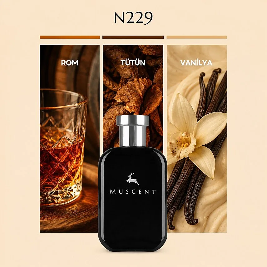 Muscent N229 Jazzy Club