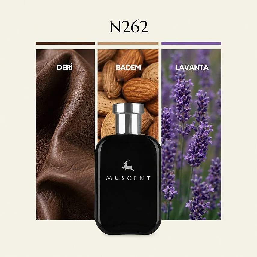 Muscent N262 F Fabulous