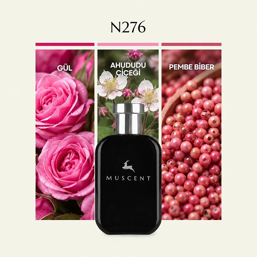 Muscent N276 NoMan sLand