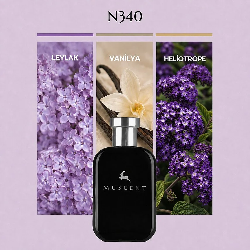Muscent N340 Lilac L