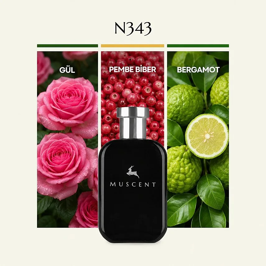Muscent N343 Atomic Rosee