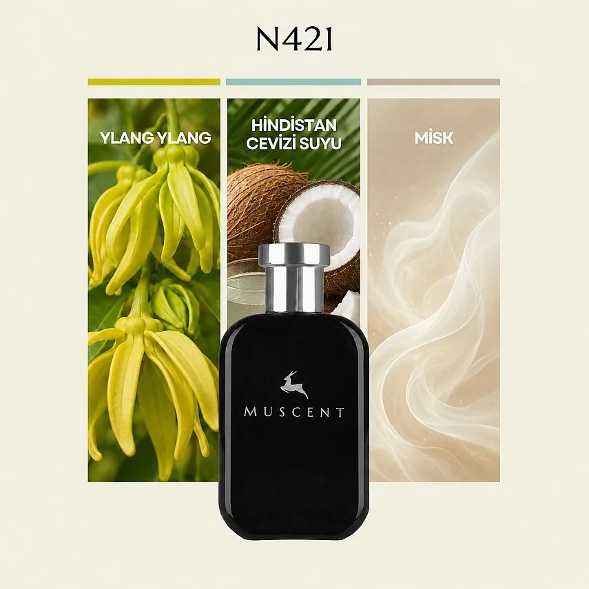 Muscent N421 Beach W