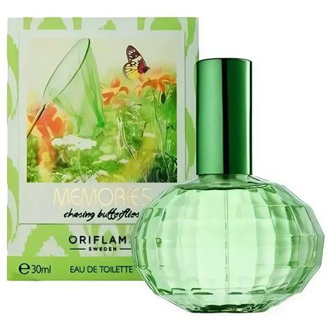 Memories Chasing Butterflies