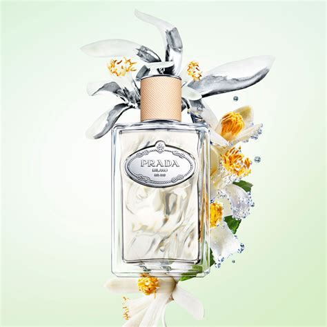 Infusion De Fleur D Oranger