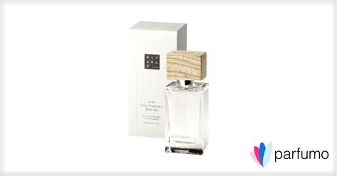 No 01 Ginger Essence White Tea