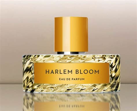 Harlem Bloom