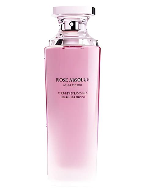 Rose Absolue